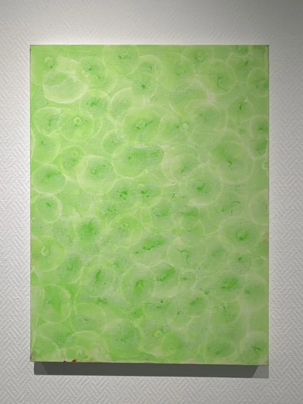 Cell Universe Brave, 2024