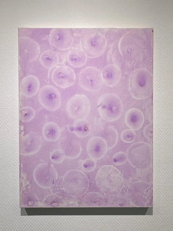 Cell Universe Awake, 2024
