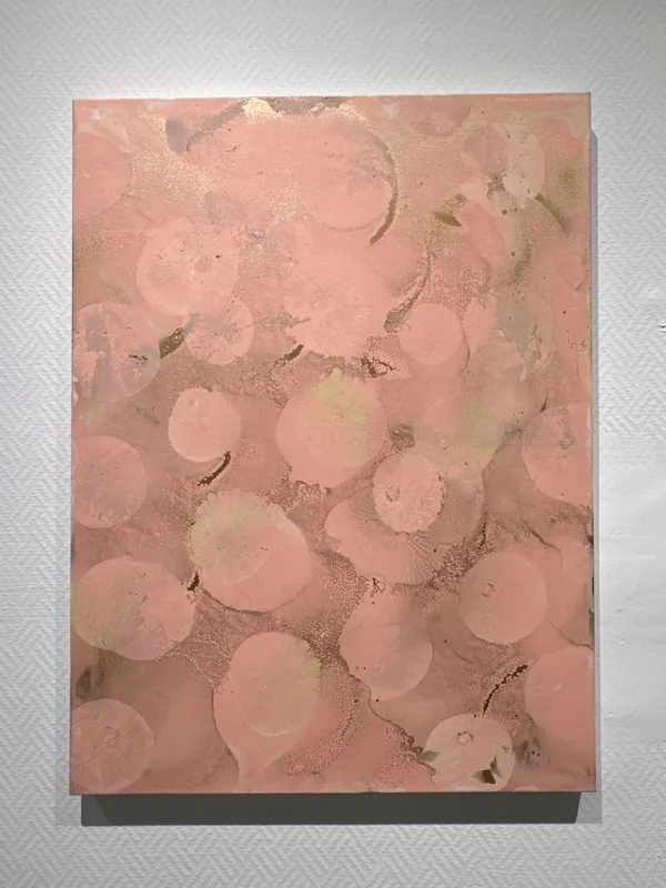 Cell Universe Warmth, 2024
