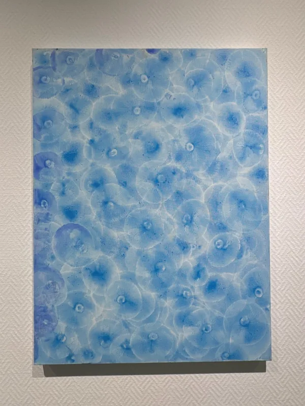 Cell Universe Persist, 2024