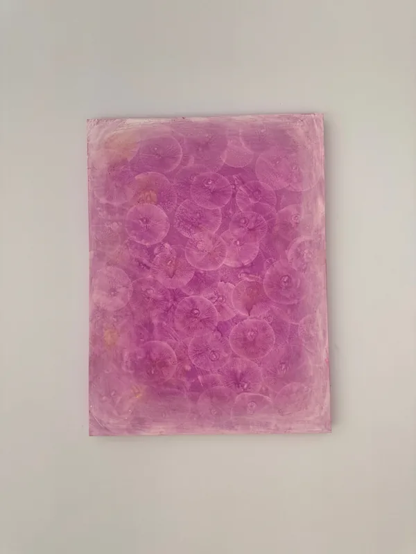 Cell Universe Tender, 2024
