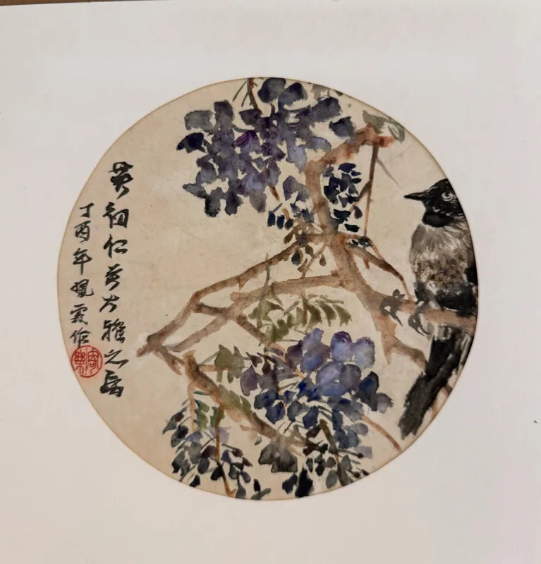 Myna on Wisteria, 2017, Colored Ink on Rice Paper, Vertical Mounted Scroll